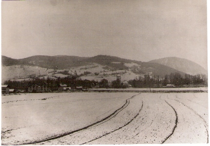  Spojka StEG - KBŽ v Žiline, trať KBŽ do Čadce. V diaľke depo Žilina. Vpravo kolónia, Budatín, pred ním most. Foto: M. Stern, cca 1885, 130 x 90, repro: Grófová, Trenčianske Múzeum 