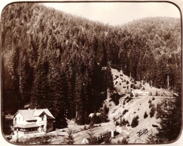  Zalesnené úbočie, vľavo dole zrejme hostinec. Vpravo na násype trať so stráž. domom pred vchodom do tunela. Prvý tunel nad Kremnicou ? Foto: Kóczány, 1896. 225 x 175 