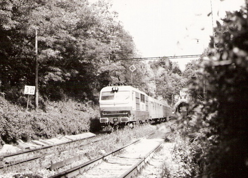  Bratislava - výjazd od tunela na Lamač. Rýchlik s 350 001-4 idúci do Lamača. Foto: Z. Piešová, 1989. 180 x 130 