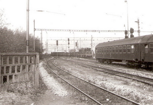  Bratislava Nové Mesto - pohľad z rač. konca 1. perónu na zhlavie. Os. súprava (vozeň Ba), nákl. vozne, posunujúca T 669.?, odchod. náv. Foto: Z. Piešová, cca 1985. 146 x 104 