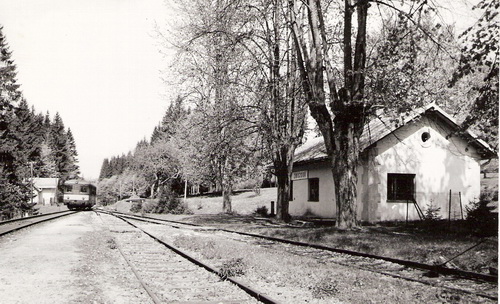  Zbojská - pohľad z koľajiska zast. smerom na Brezno. Vpravo výpr. budova, vľavo vchádza 820, za ňou stráž. dom. Foto: M. Meliška, cca 1995. 170 x 122 