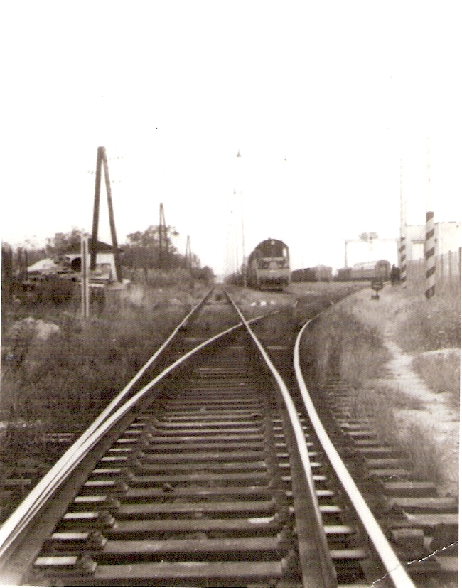  Rusovce - pohľad od prvej výhybky na petržalské zhlavie. T 669.0 s nákl. vlakom, odst. nákl. a os. vozne. Osvetľovacie stožiare, telegraf. tyče. Vpravo portál. žeriav. Foto: M. Entner, leto 1990, 82 x 120 