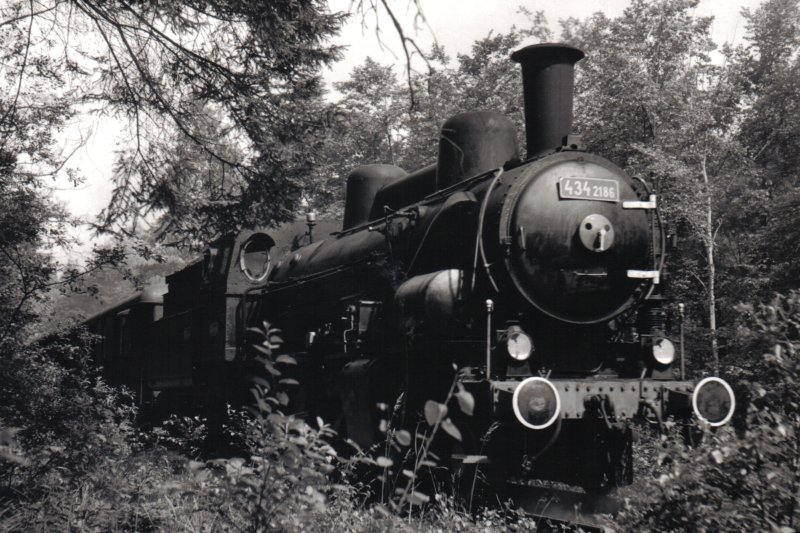  Parný rušeň 434.2186 + Dsd (rybák). Pohľad zprava zpredu. Lesnatý úsek u Sudoměře. Anon., 28.6.1981. 170 x 120 