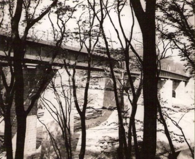  Červený most pri Bratislave - pohľad spomedzi stromov z vonk. strany oblúka smerom na Lamač. Pod mostom cesta s osobným autom a drevená guľatina. Anon., cca 1947. 132 x 110 