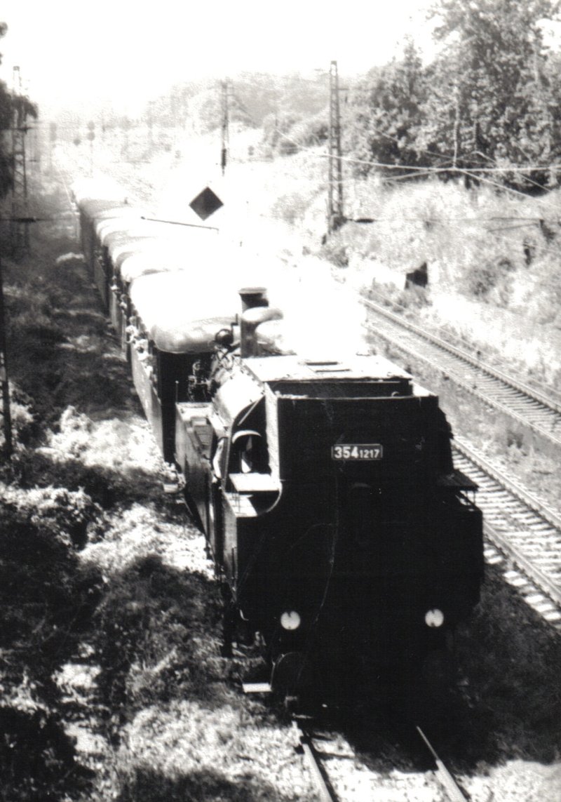  Parný rušeň 354.1217 so súpravou vozňov Rybák pri Chocni. Pohľad odzadu z nadhľadu. Tri elektrifik. koľaje, vzadu návestidlá ZSSR. Foto: O. Čížek, 1.9.1991. 90 x 130. 