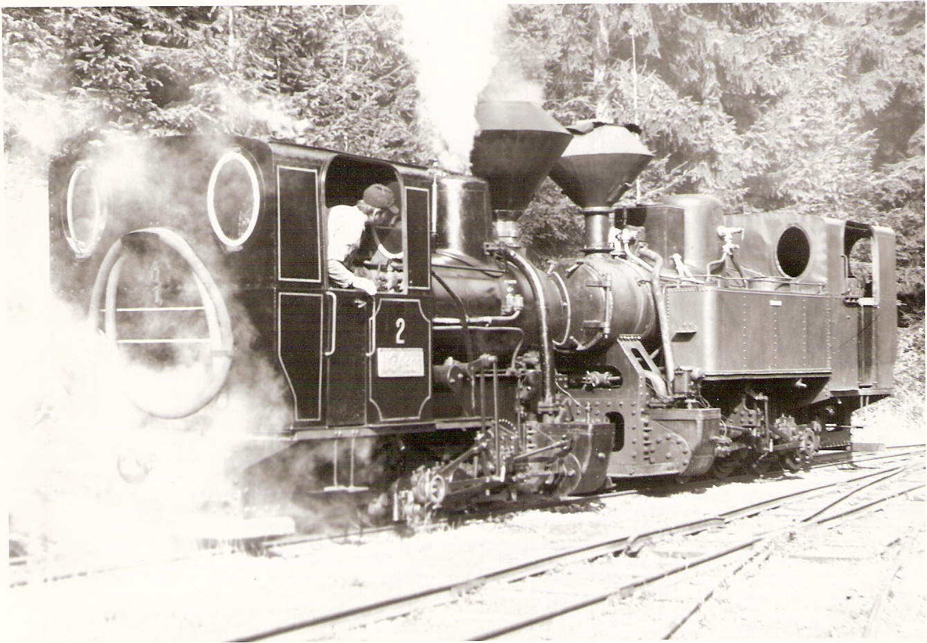  Úzkorozch. parné rušne U 34.901 (ex č. 2 HLŽ; pohľad zprava zozadu) + U 45.9 (ex PLŽ; pohľad zľava zpredu) na Vychylovke. Foto: O. Čížek, 14.10.1989. 167 x 117 