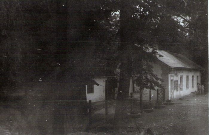  Dolné Hámre - výpravná budova. Šikmý pohľad zo strany koľají od Šurian. Foto: J. Kubáček, cca 1994. 180 x 130 