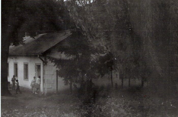  Dolné Hámre - výpravná budova. Šikmý pohľad zo strany koľají od Zvolena. Foto: J. Kubáček, cca 1994. 180 x 130 