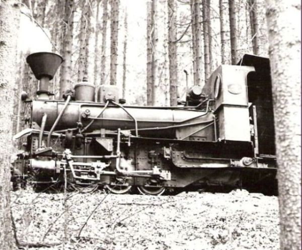  Úzkorozch. parný rušeň č. 3 priemyselnej dráhy v Mladějove. Neúplný pohľad zľava zboku zdola. Les. Foto: J. Kubáček, cca 1975. 128 x 89 