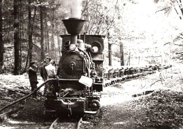  Úzkorozch. parný rušeň č. 3 priem. dráhy v Mladějove so súpravou plech. huntíkov v lese pri čerpaní vody ejektorom zo studne . Pohľad zpredu. Pri rušni v strede skupiny Miloš Hrádek. Foto: J. Kubáček, cca 1975. 127 x 90 