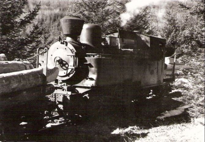  Úzkorozch. parný rušeň Henschel Zákamenskej lesnej železnice. Pohľad zľava zpredu. Pred i za ním ložené oplenové súpravy. Les. Foto: Joachymstál (?), 1969 (?). 123 x 83 