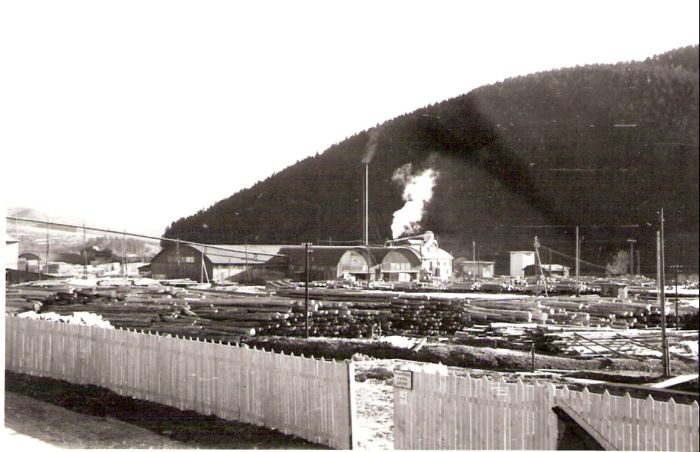  Píla v Zákamennom (?). Panoramatický pohľad na celý areál. Vpredu drevený plot, vzadu zalesnená hora. Foto: Anon., cca 1970. 124 x 80 