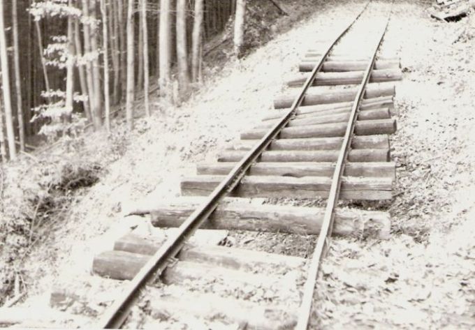  Historická lesná úvraťová železnica. Pohľad na podmyté miesto na trati v lese. Foto: Z. Piešová, 9.1986. 128 x 88 