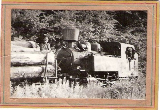  Úzkorozch. parný rušeň C 760/90d Vígľašskej lesnej železnice s loženým oplenom. Pohľad zľava zpredu. V kabíne dvaja lesáci, na brzde oplenu ďalší. Foto: V. Hlávek, ca 1975. 86 x 56 