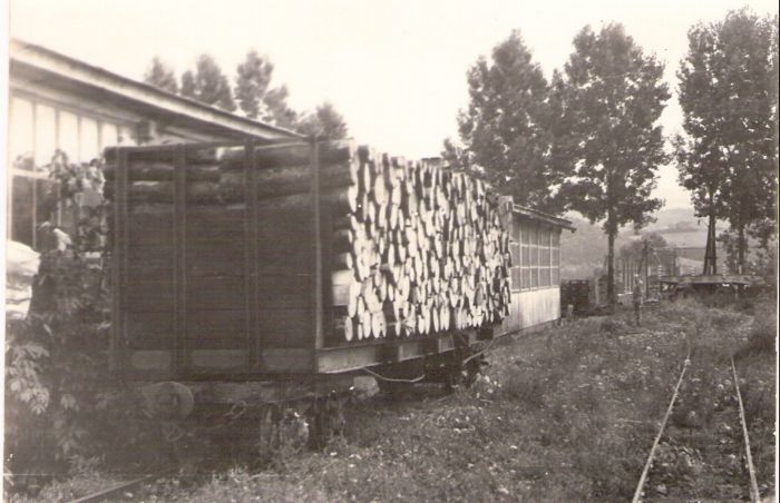  Vígľašská lesná železnica - stanica Vígľaš. Štvornápr. plošinový vozeň ložený krátkou guľatinou. Nárožný pohľad. Vľavo dlhá budova s presklenou stenou, vpravo ďalšia koľaj. Vzadu stromy. Foto: V. Hlávek, cca 1975. 130 x 89 