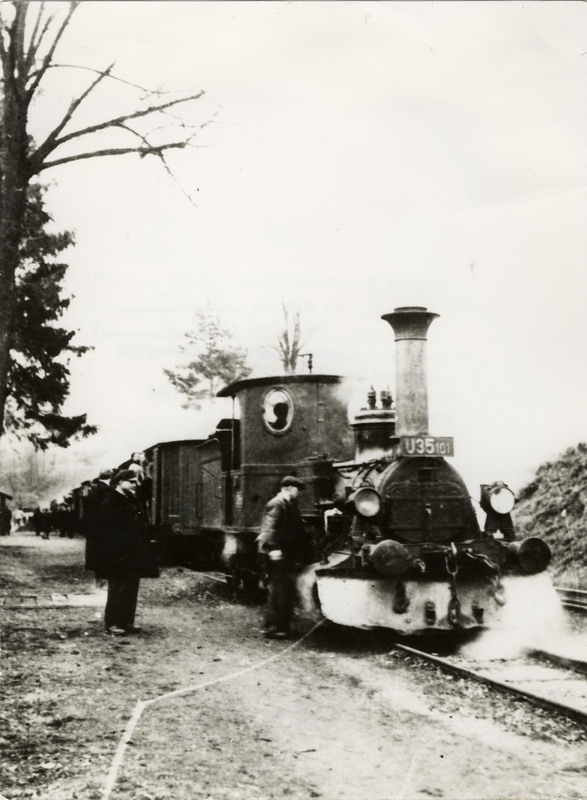  Parný rušeň U 35.101 s vlakom, 130 x 180, 2. pol. 40. r. 20. stor., autor a miesto neznáme, repro: Patschová K. 
