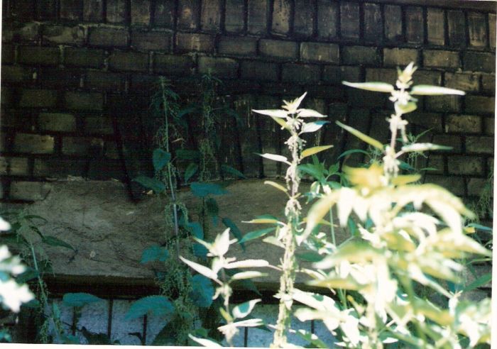  Bratislava, lamačská strana tunela - strážny dom. Detail okna na bratislavskej strane. Foto: M. Entner, 17.6.1996. 126 x 89, COLOR 