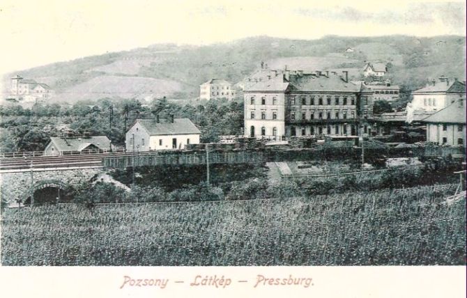  Bratislava hl. st. - objekty na račianskom zhlaví. Panoramatický pohľad zo strany vinárskej školy. Foto: Anon., cca 1910, farebná xerokópia. 220 x 125 