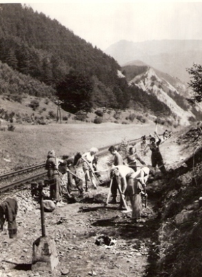  Skupina mužov i žien v prac. pri zrovnávaní terénu pri normálnerozch. trati v horskej kraj. V popr. stojan drôtovodu. Text: Trať Družby. Foto: ČSD, cca 1950. 168 x 124 