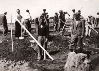  Skupina robotníkov pri premiestňovaní zeminy lopatami. V pozadí zrejme prac. drážka a dielen. budova. Text: Trať Družby. Anon., cca 1950. 170 x 120 